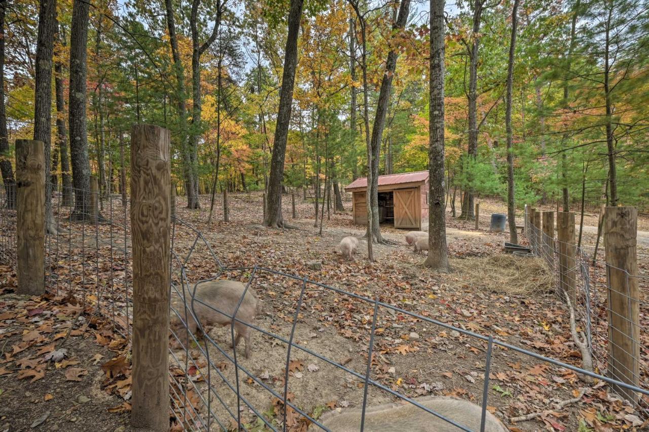 John Wayne Apartment - Deck, Bbq, Horses On-Site Huntingdon Exterior foto